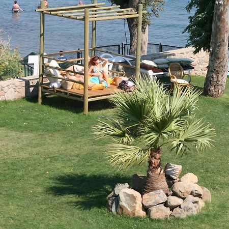 Gumbet Cove Hotel מראה חיצוני תמונה